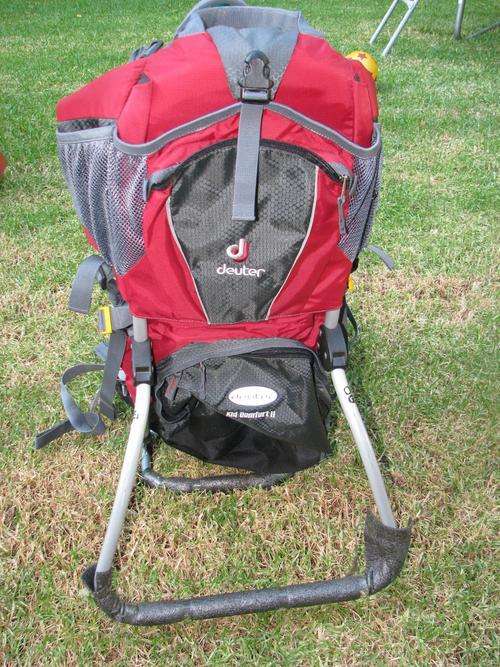 Child Carrier - Back View