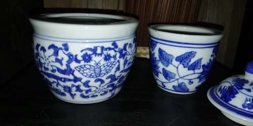 Chinese Tea Cup