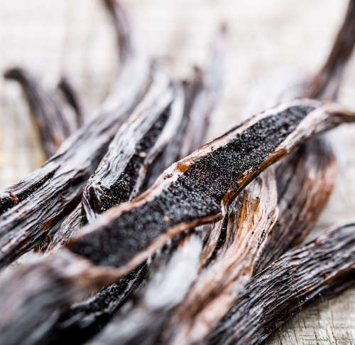 Gourmet Vanilla Beans Grade A - Organic 15-18cm