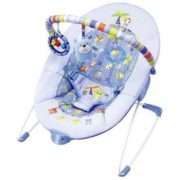 Baby Soothing Vibrations Bouncer