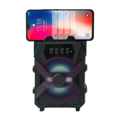 Portable speaker