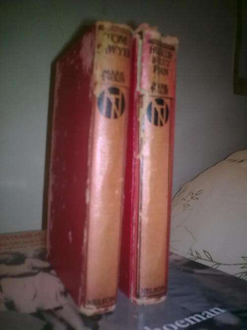 ## THE ADVENTURES OF TOM SAWYER AND HUCKLEBERRY FINN ##
