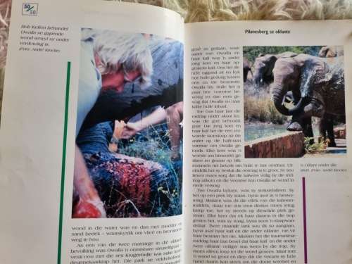 50/50 - AGTER DIE STORIES