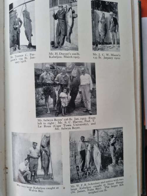 SEA-ANGLING FISHES OF THE CAPE by C. LEO. BIDEN