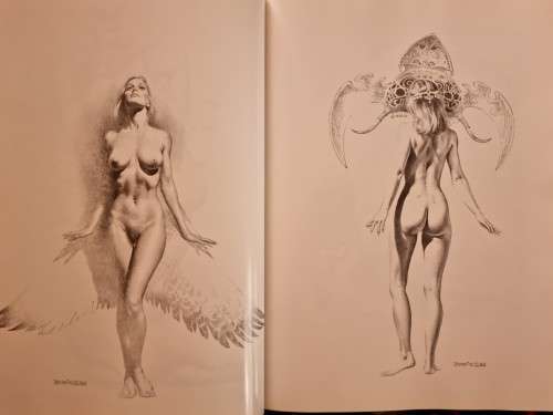 Enchantment and Mirage by Boris Vallejo