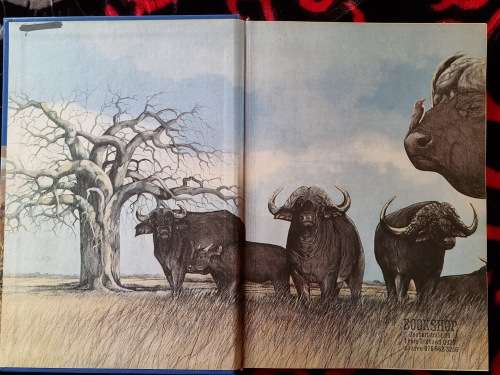 HUNTING IN SOUTHERN AFRICA