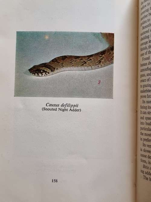 DON`T DIE IN THE BUNDU - ( Grainger, D. H. Colonel )