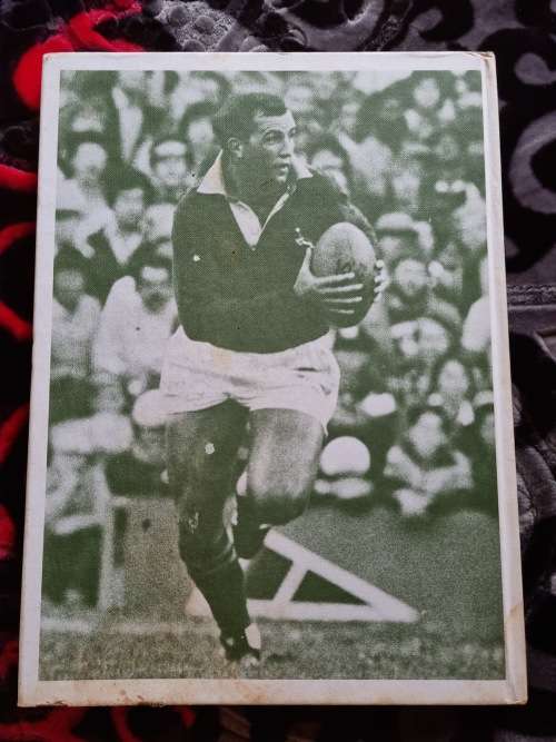 SPRINGBOK TRIUMPH ( Lions tour of South Africa )