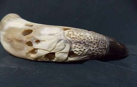 Beautifully Carved Bull Horn
