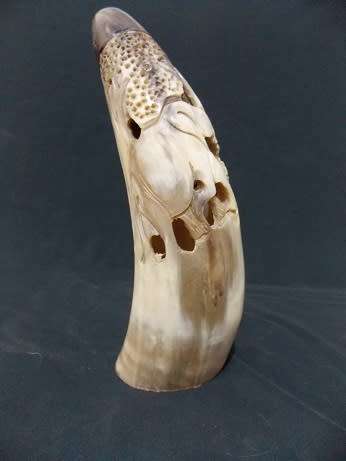 Beautifully Carved Bull Horn