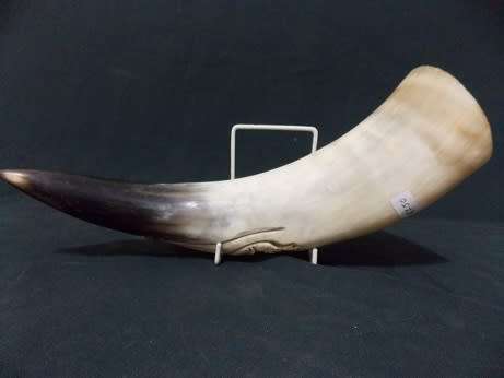 Beautifully Carved Bull Horn