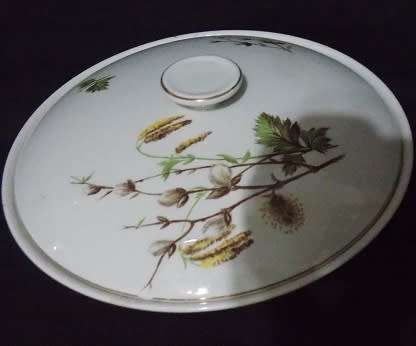 Beautiful Ridgway Server and Sauce Boat