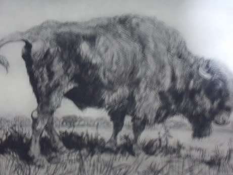 `The Bison` by Donovan Leroux Hand signed copy 1/50
