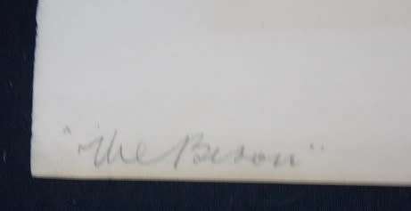 `The Bison` by Donovan Leroux Hand signed copy 1/50