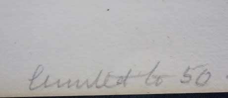 `The Bison` by Donovan Leroux Hand signed copy 1/50