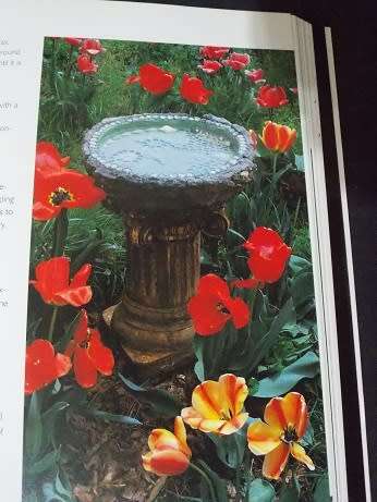 The New Mosaics Book