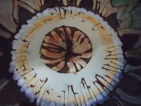 Large Pottery Platter