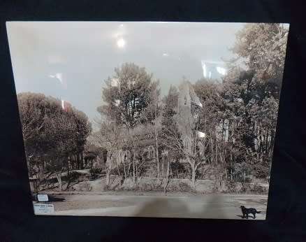 Photo Print of Antique Rondebosch