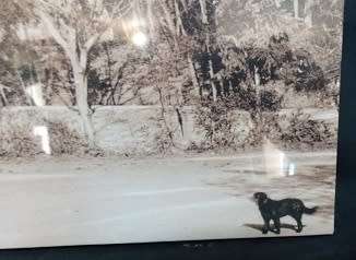 Photo Print of Antique Rondebosch