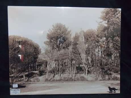 Photo Print of Antique Rondebosch