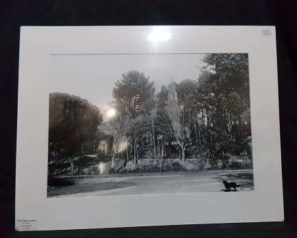Photo Print of Antique Rondebosch
