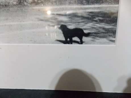 Photo Print of Antique Rondebosch