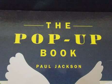 The Pop-Up Hobby Book