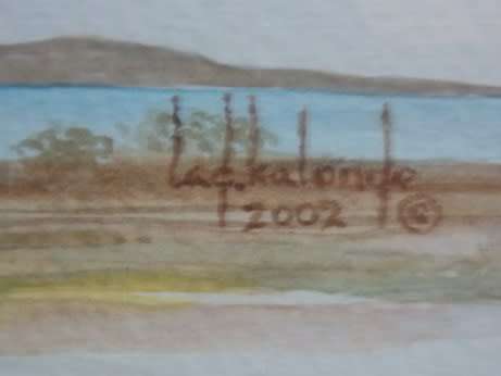 Stunning Watercolor Lad Kalondo