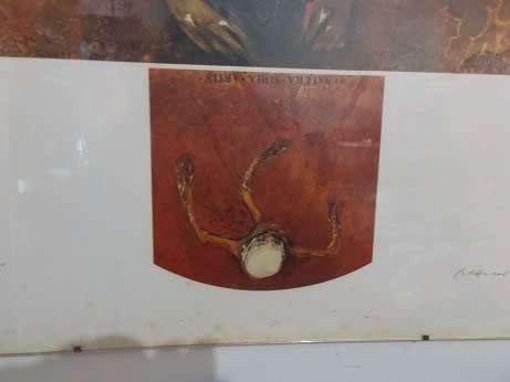 Monkey Shrine Print from Judith Mason