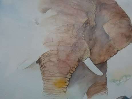 Original Water Color Elephant Bull by Lad Kalondo Framed