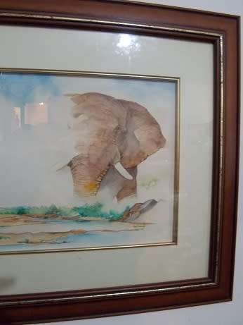 Original Water Color Elephant Bull by Lad Kalondo Framed