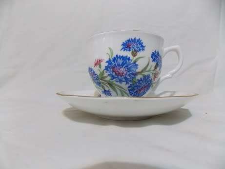Salisbury England Lovely Tea Cup and Saucer