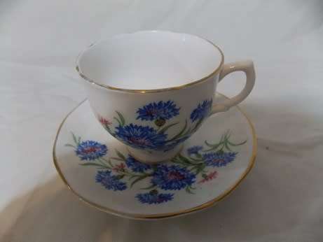 Salisbury England Lovely Tea Cup and Saucer