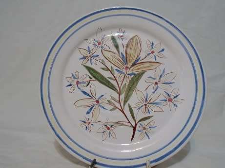 Earthenware Plate