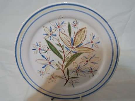 Earthenware Plate