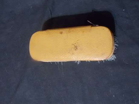 Clothes` Brush with Gillette Travel Kit