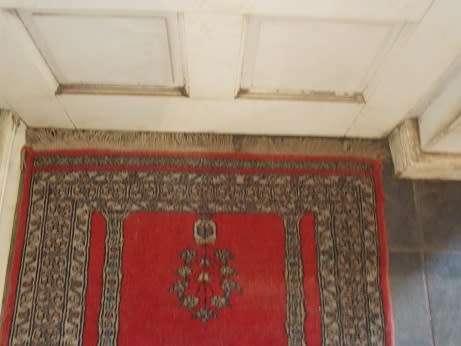 Beautiful Pakistani Rug