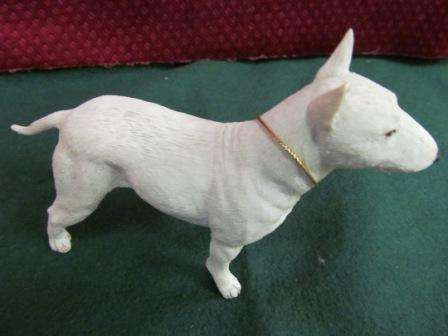 English Bull Terrier