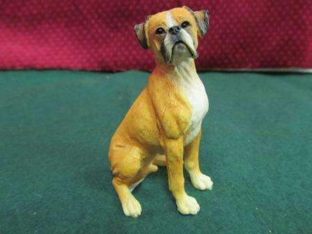 Sitting Boxer