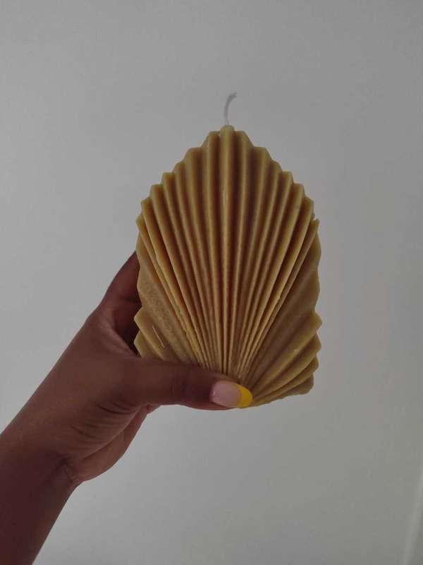 Coral Shell Scented Candle