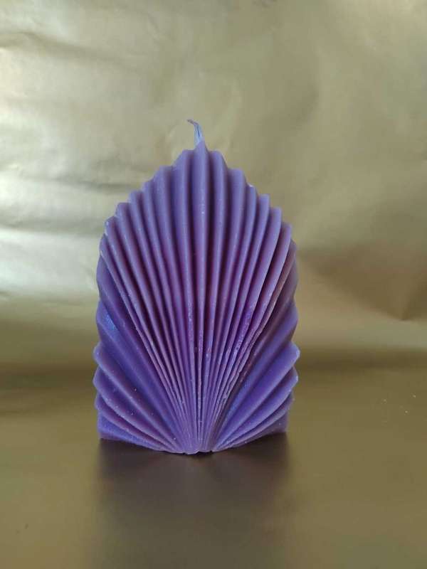 Coral Shell Scented Candle