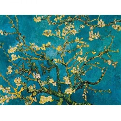 5D Diamond Painting Kit Full Drill Van Gogh WP-04-05