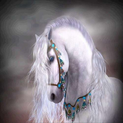 5D Diamond paint by numbers Full drill - Horse Indian - G2567