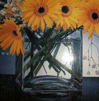 Square glass vase