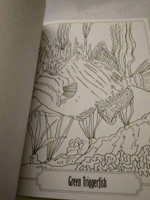 Colour and Art - Under the sea