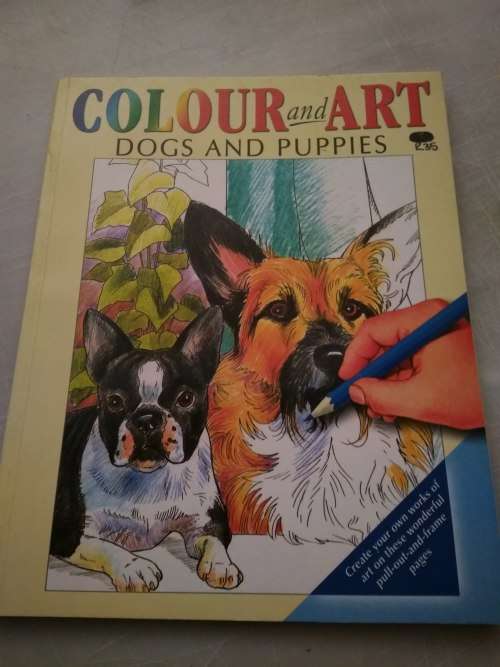 Colour and Art - Dogs and puppies