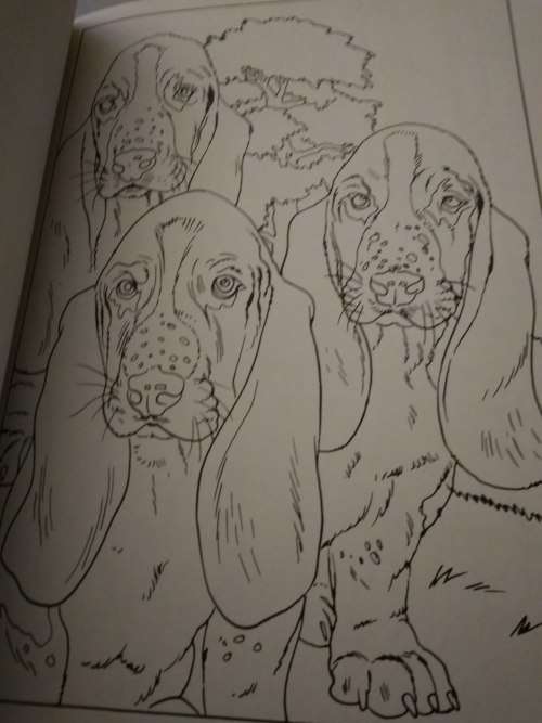 Colour and Art - Dogs and puppies