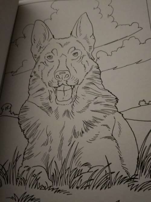 Colour and Art - Dogs and puppies