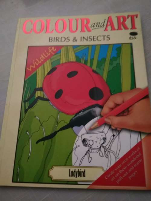 Colour and Art - Birds and Insects