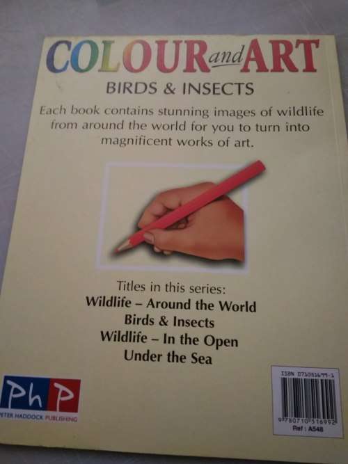 Colour and Art - Birds and Insects
